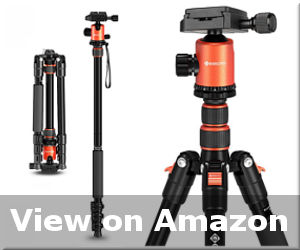 best tripod for macro photography