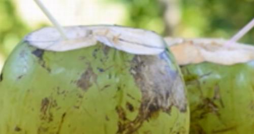 coconut water hydration benefits