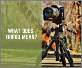 What Does Tripod Mean?